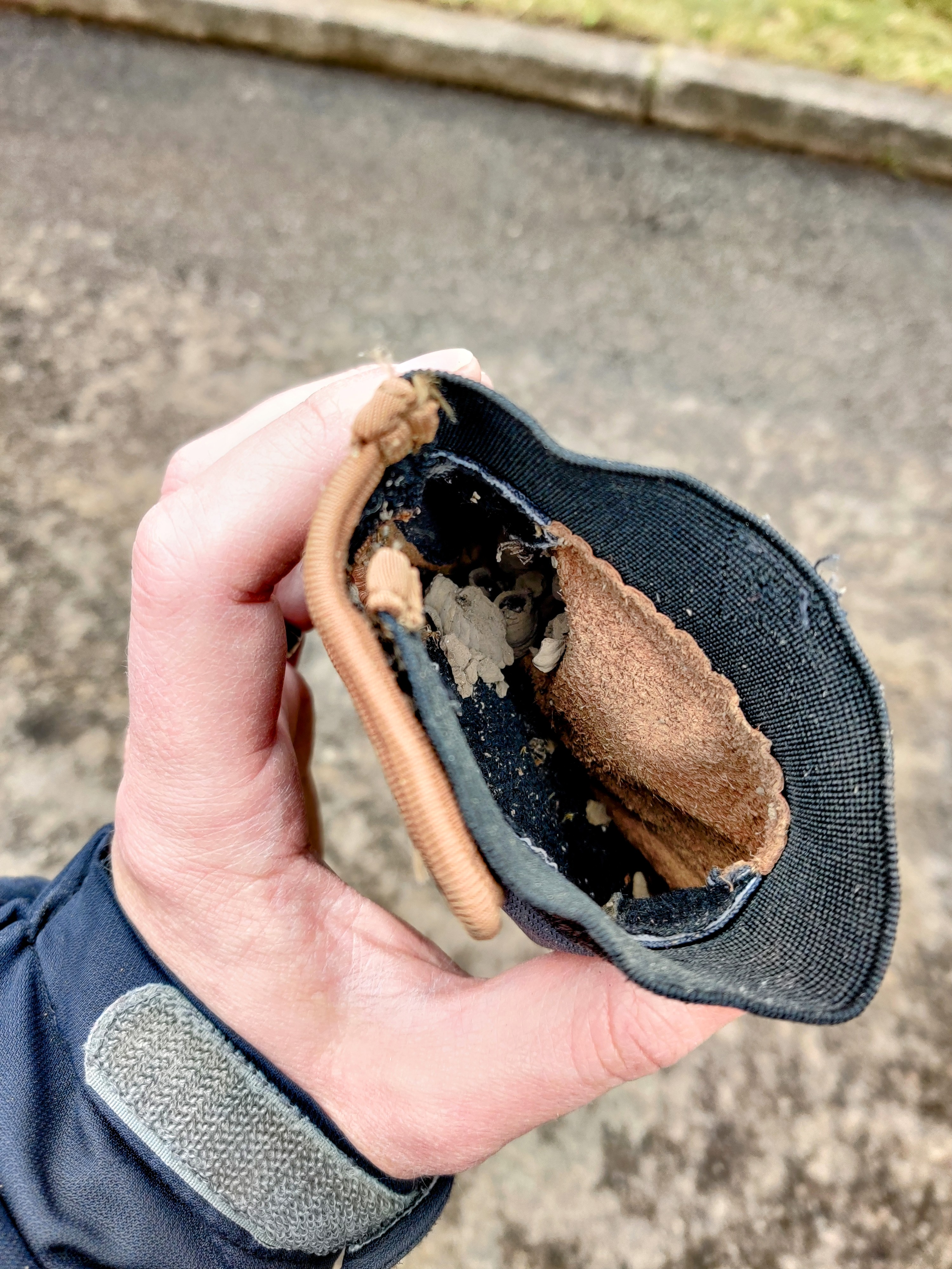 I guess this old glove isn't mine anymore.  [OC]